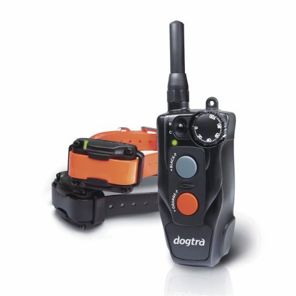 202C 2-Dog Trainer