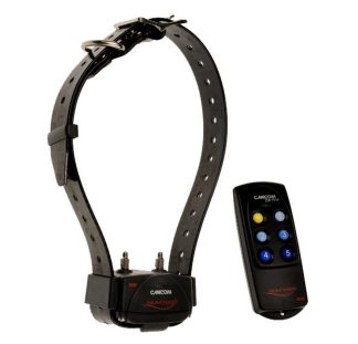 250 Basic Remote Trainer