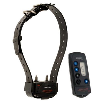 350 Classic Remote Trainer
