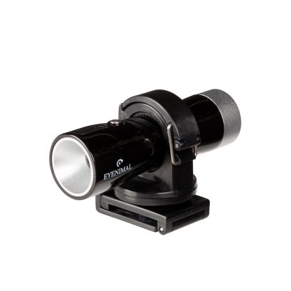 Active Dog Video Camera
