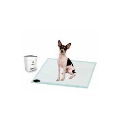 Train ‘n Praise™ Potty Training System