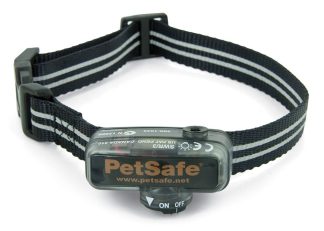 Little Dog Extra Receiver Collar