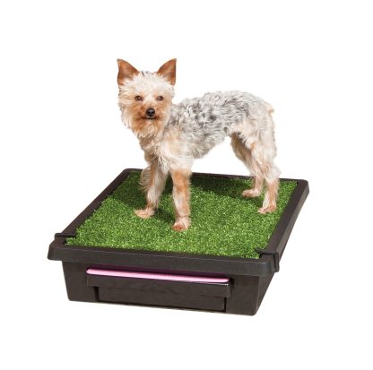 Pet Loo - Small