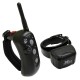 Rapid Access Pro Trainer
