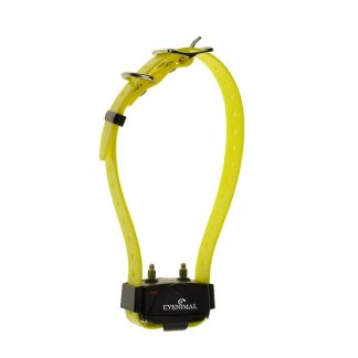 Extra Collar/Receiver for Remote Trainer