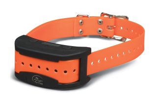 Extra Collar for Contain + Train System