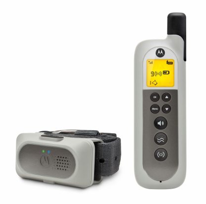Advanced Remote Training System