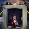 Dakota 283 G3 Framed Door Kennel with Dakota Guard Antimicrobial - Image 14