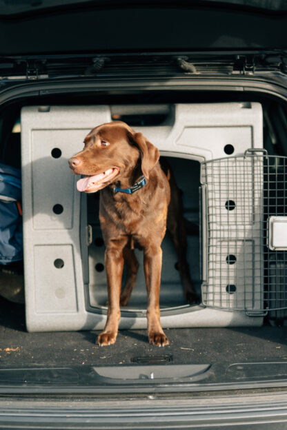 DAKOTA 283 Side Entry Kennel - Image 6