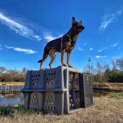 Dakota 283 Hero Kennel - Image 16
