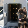Dakota 283 Forever Insert Kennel Divider with Dakota Guard Antimicrobial - Image 3