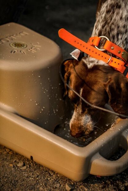 Dakota 283 Dash 5.0 Watering System - Image 7
