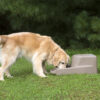 Dakota 283 Dash 5.0 Watering System - Image 8