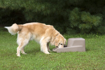 Dakota 283 Dash 5.0 Watering System - Image 8