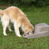 Dakota 283 Dash 5.0 Watering System - Image 10