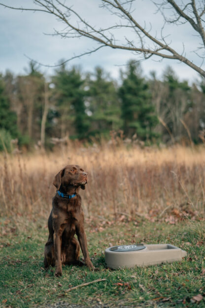 Dakota 283 Dine N Dash Feeding System - Image 16