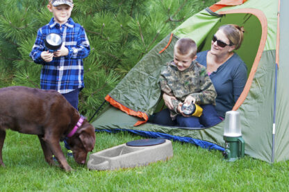 Dakota 283 Dine N Dash Feeding System - Image 9