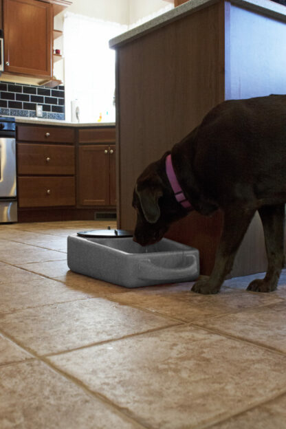 Dakota 283 Dine N Dash Feeding System - Image 3