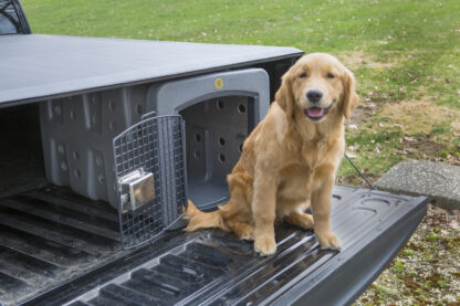 Dakota 283 T1 Kennel - Image 7