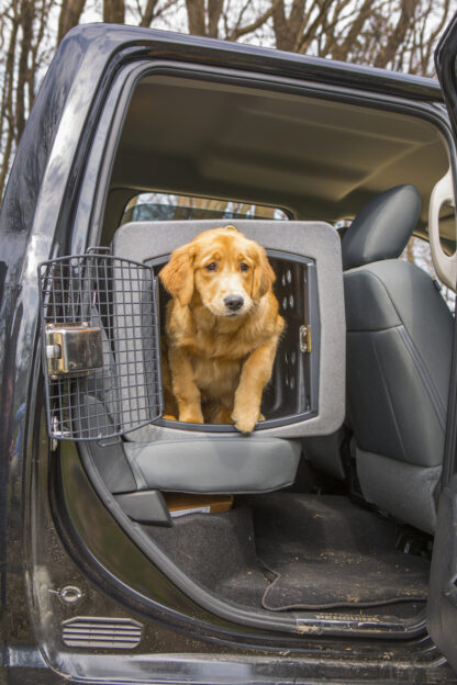 Dakota 283 T1 Kennel - Image 11