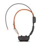 TT 25 Dog Collar
