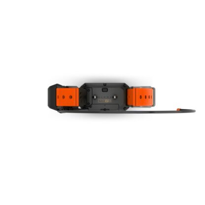 TT 25 Dog Collar - Image 3